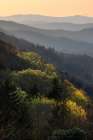 First light hitting mountain slope Oconaluftee valley-Great Smoky Mountains NP-NC Art Print